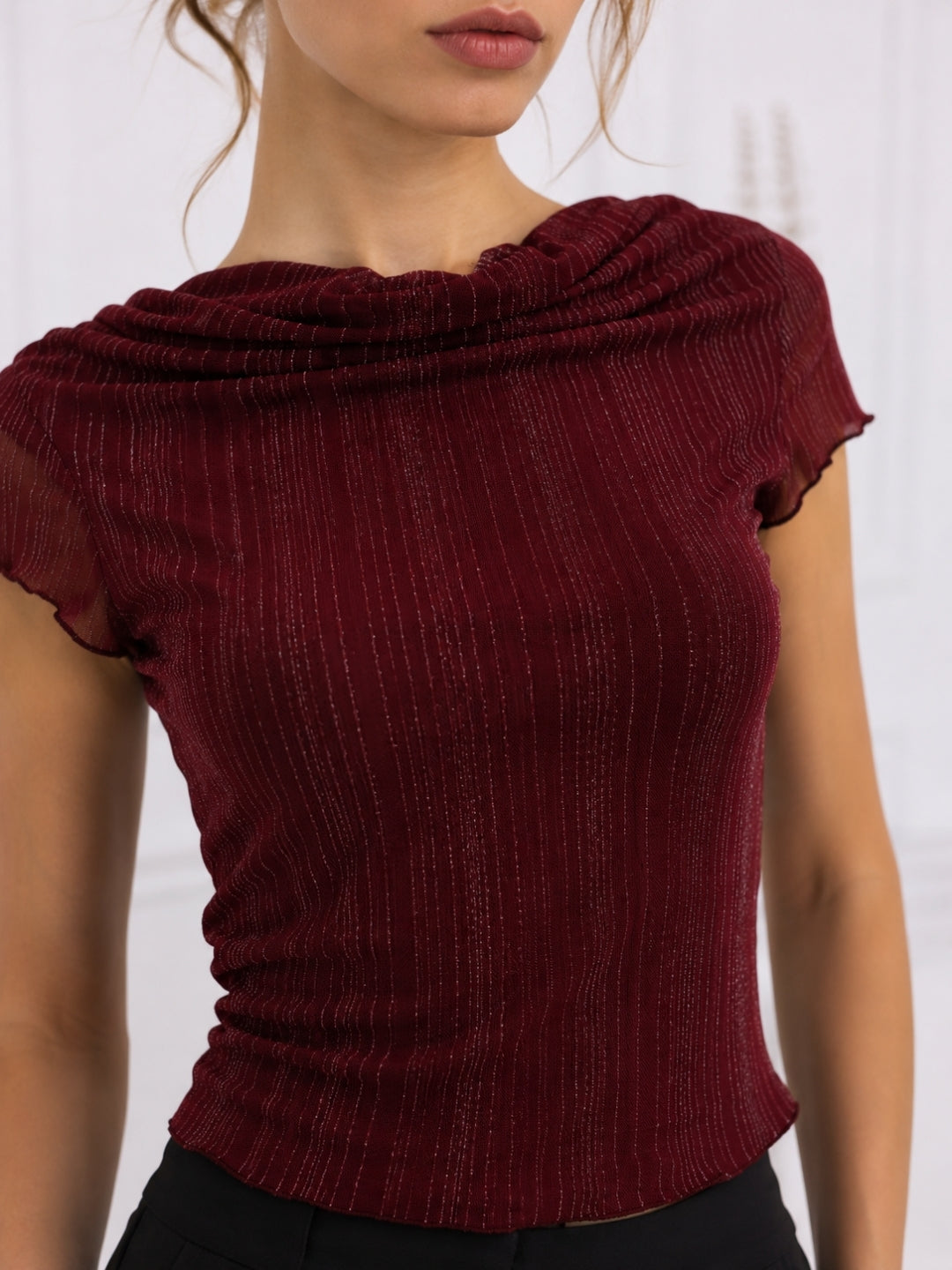 Women Maroon Striped Mesh Top