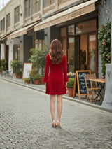 Clobug Women Red A-line Dress