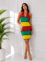 Clobug Women Sleeveless Bodycon Dress